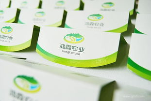 農(nóng)產(chǎn)品企業(yè)形象設計 從田間到餐桌的品牌力量